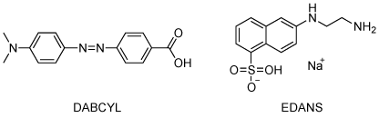 荧光淬灭DABCYL和荧光EDANS的结构。 DABCYL和EDANS