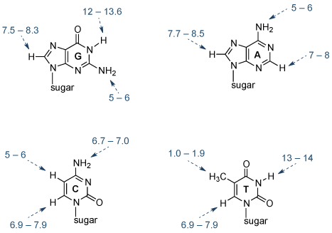 从Wijmenga和van Buuren的,的<em>核磁共振波谱进度数据</ em>的32,287-387(1998)。 脱氧核糖核酸
