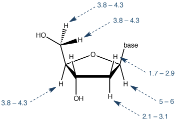 从Wijmenga和van Buuren的,的<em>核磁共振波谱进度数据</ em>的32,287-387(1998)。 脱氧核糖核酸