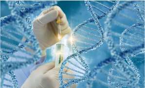 香港无创DNA检测能不能筛查基因遗传疾病？